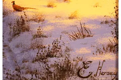 Signature image, click to enlarge