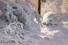 Signature image, click to enlarge