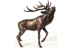 Large image, click to enlarge