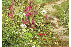 Signature image, click to enlarge