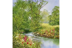 No frame image, click to enlarge