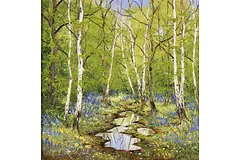 No frame image, click to enlarge
