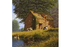 No frame image, click to enlarge