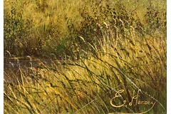 Signature image, click to enlarge