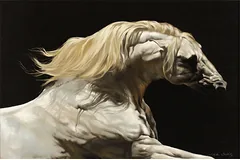 No frame image, click to enlarge