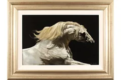 Large image, click to enlarge