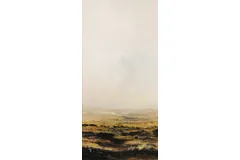 No frame image, click to enlarge