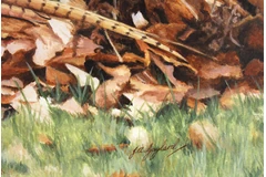 Signature image, click to enlarge