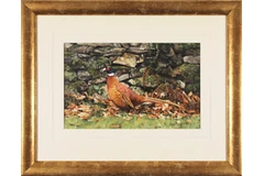 Large image, click to enlarge