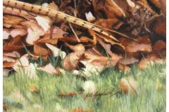 Signature image, click to enlarge