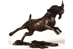 Large image, click to enlarge