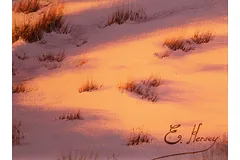 Signature image, click to enlarge