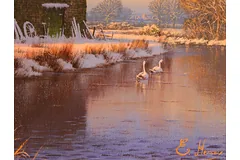 Signature image, click to enlarge