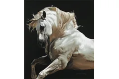No frame image, click to enlarge