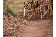 Signature image, click to enlarge