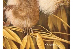 Signature image, click to enlarge