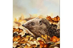 No frame image, click to enlarge