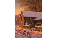 No frame image, click to enlarge