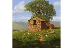 No frame image, click to enlarge