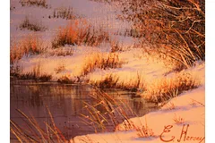 Signature image, click to enlarge