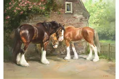 No frame image, click to enlarge