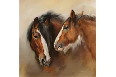 No frame image, click to enlarge