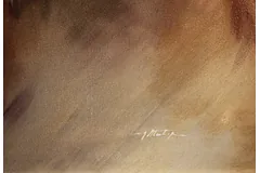 Signature image, click to enlarge