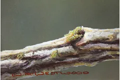 Signature image, click to enlarge