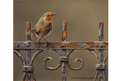 No frame image, click to enlarge