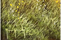 Signature image, click to enlarge