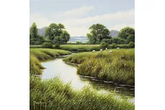 No frame image, click to enlarge