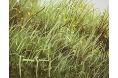 Signature image, click to enlarge