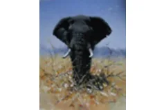 Large image, click to enlarge
