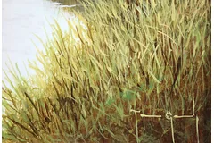 Signature image, click to enlarge