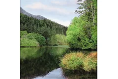 No frame image, click to enlarge