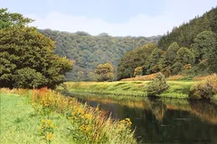 No frame image, click to enlarge