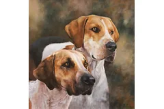 No frame image, click to enlarge