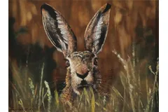 No frame image, click to enlarge