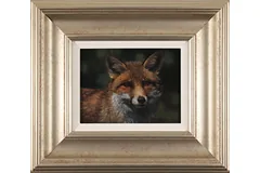Large image, click to enlarge