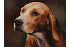 No frame image, click to enlarge