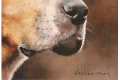 Signature image, click to enlarge