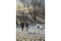 No frame image, click to enlarge