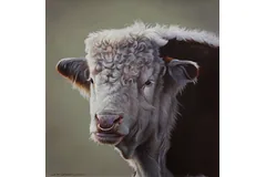 No frame image, click to enlarge