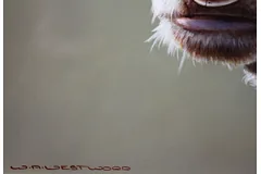 Signature image, click to enlarge