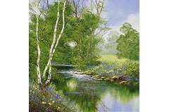 No frame image, click to enlarge