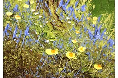 Signature image, click to enlarge