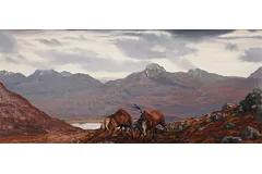 No frame image, click to enlarge