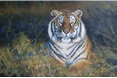 Large image, click to enlarge