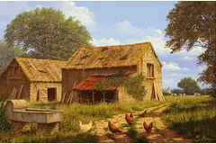 No frame image, click to enlarge