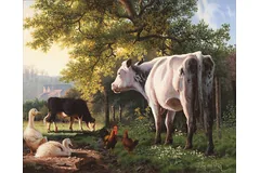 No frame image, click to enlarge